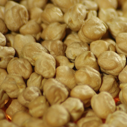 Chick Peas (Chana)
