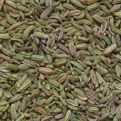 Cumin Seeds