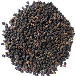 Black Pepper 