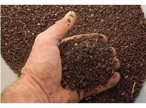Sundried Chicken Manure