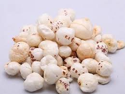 foxnut