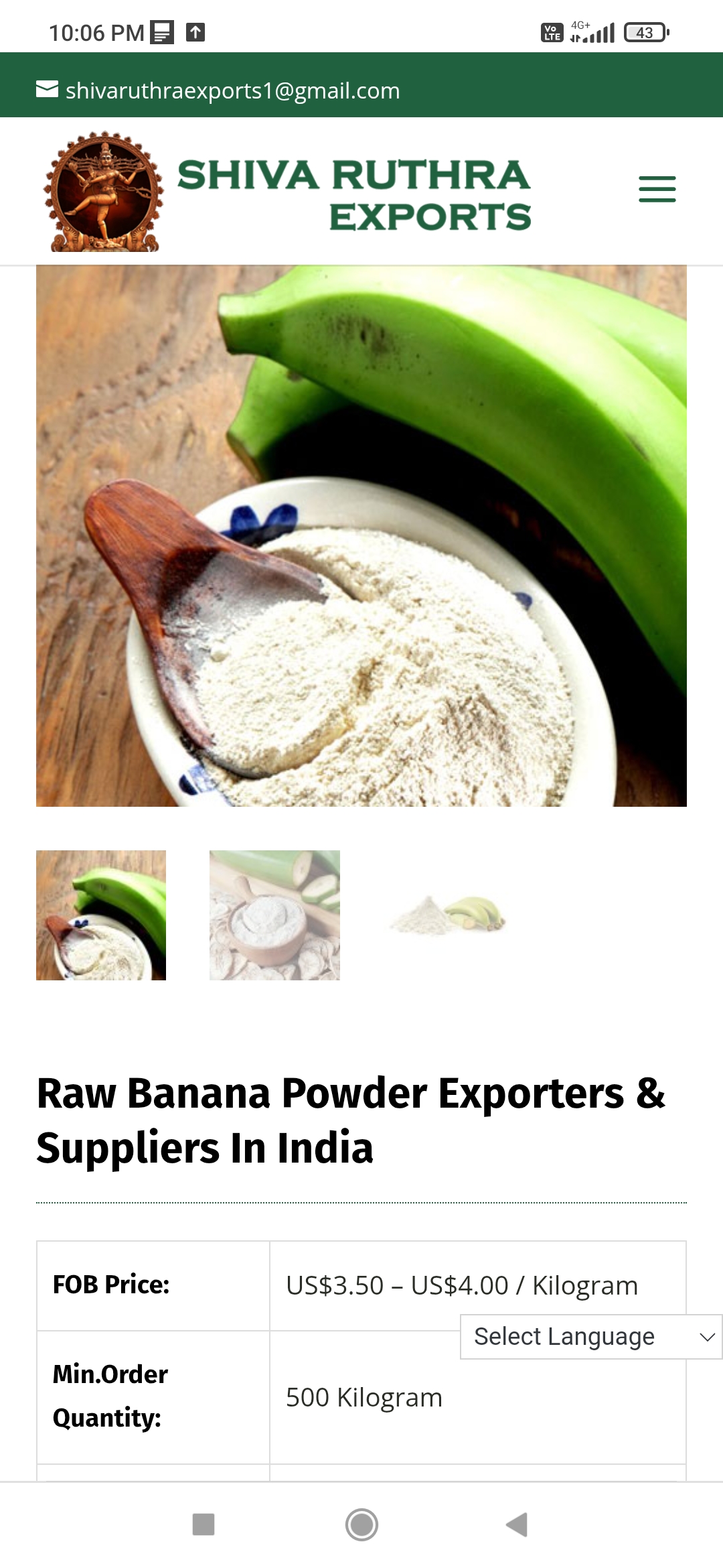 Dehydrater Raw green Banana powder 