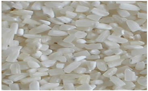 IRRI-6 Rice