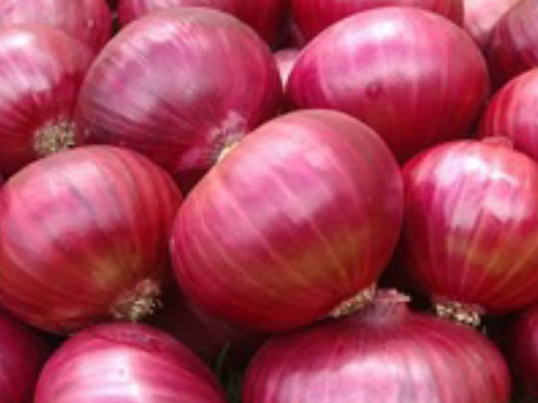Onions