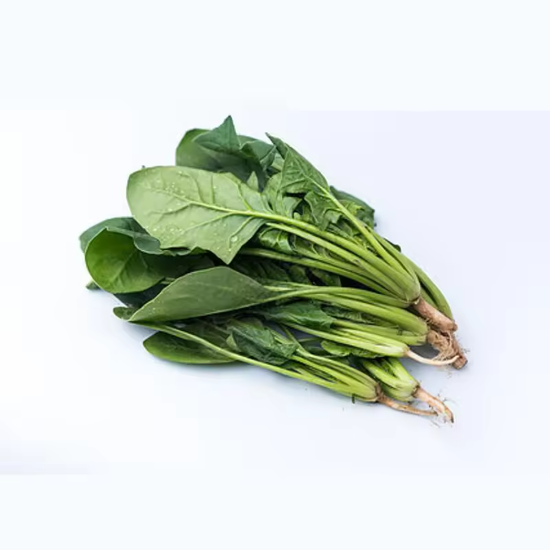 Fresh Water Spinach (Morning Glory) for Culinary &amp; Food Processing Use