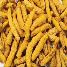 Turmeric Finger Double Polished