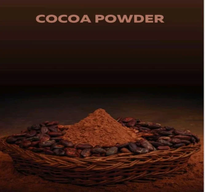 Cocoa Powder Premium Quality