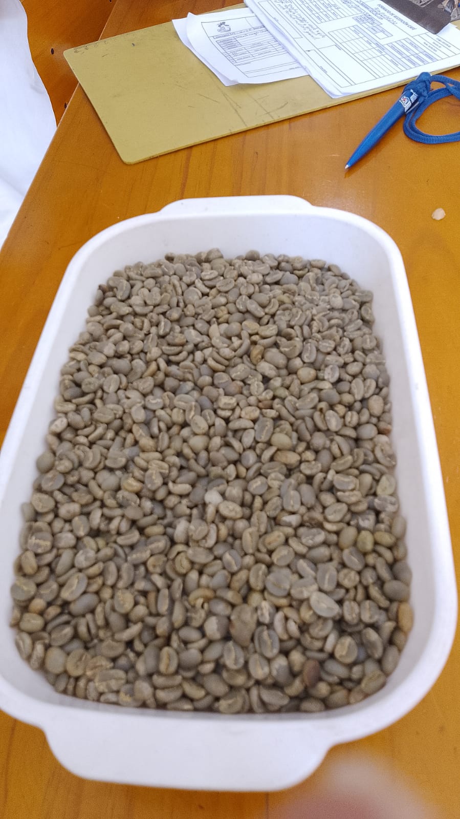 Green Coffee Beans