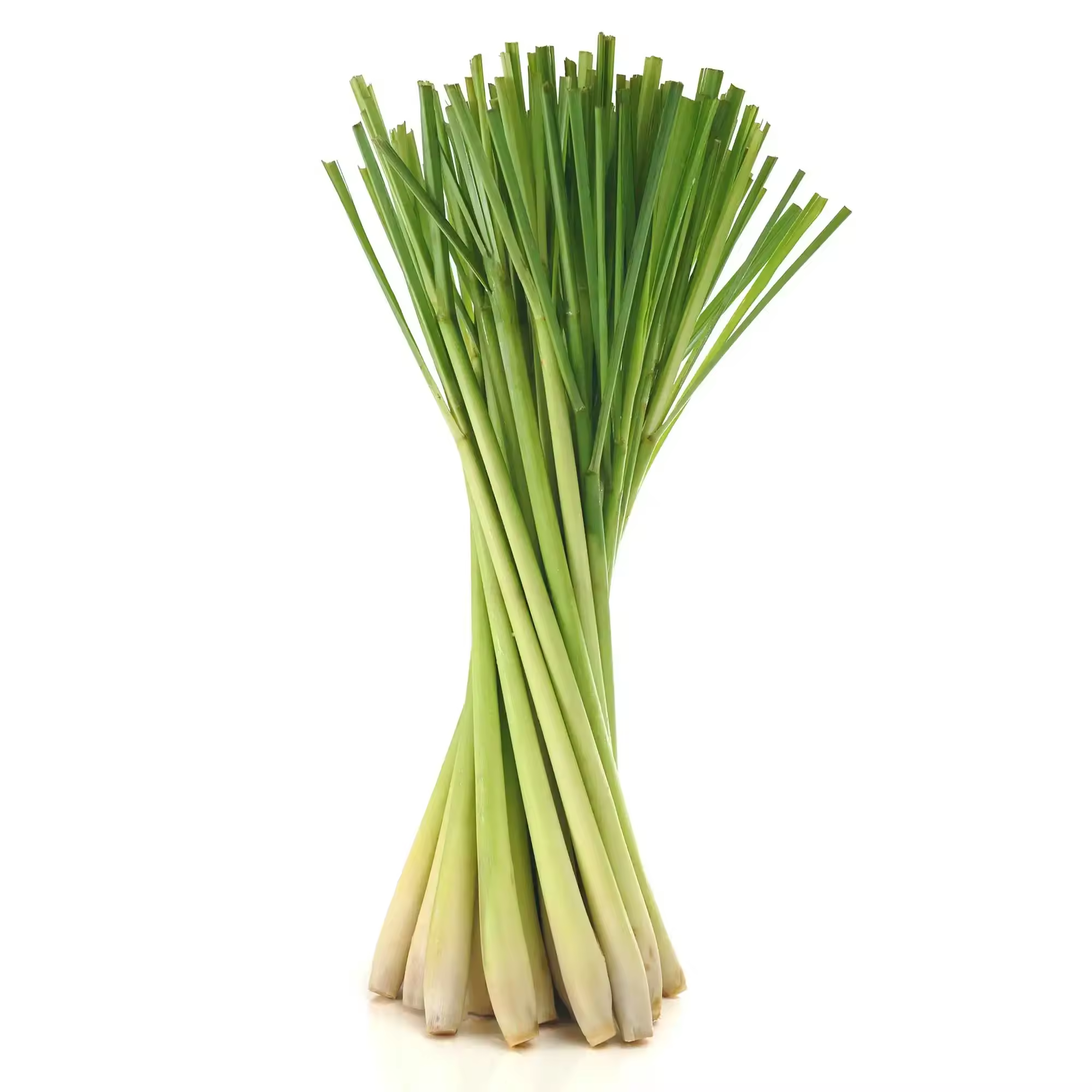 Fresh Lemongrass for Food &amp; Processing Use