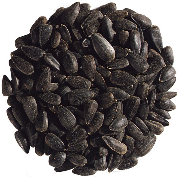 Black Sunflower Seed