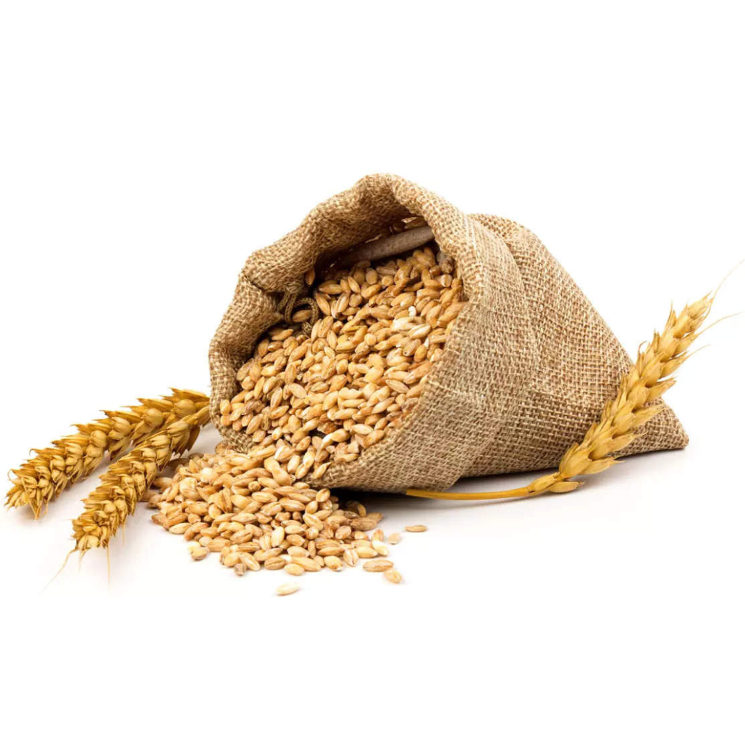 Wheat