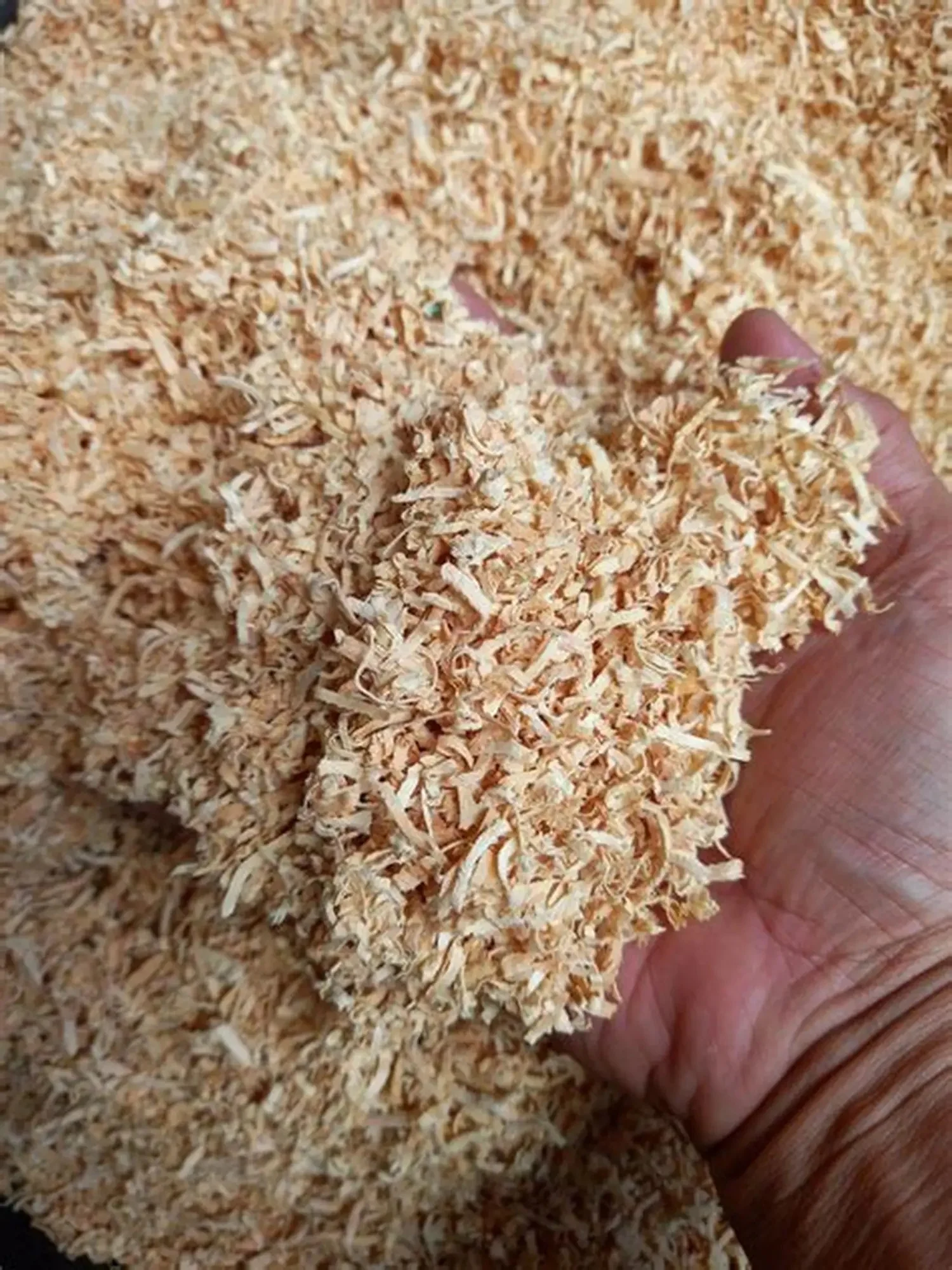 Fast Delivery Wood Chips