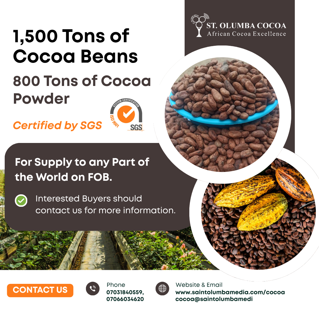 Premium Cocoa beans