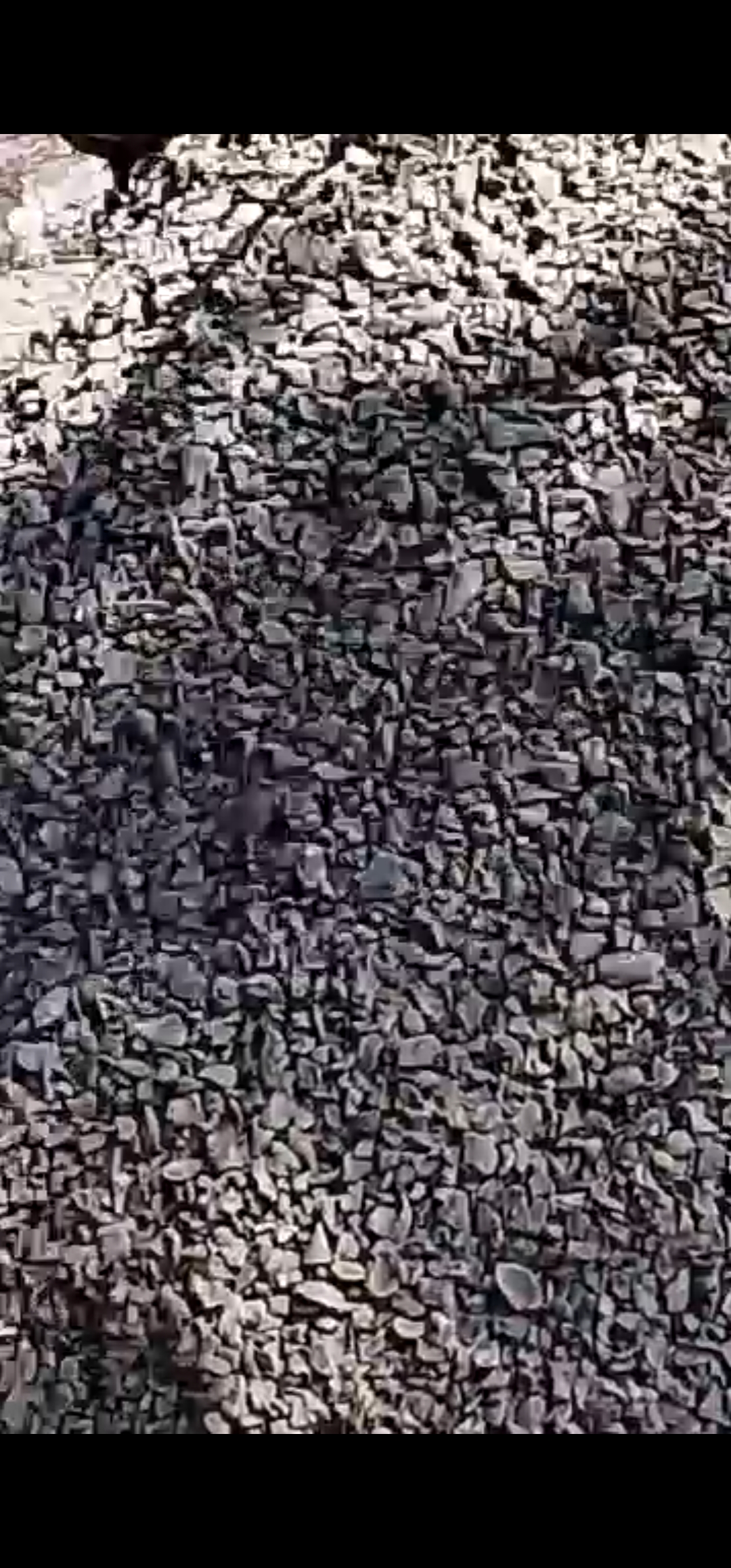 Palm kernel shell and Palm kernel nuts