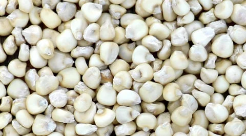 Corn
