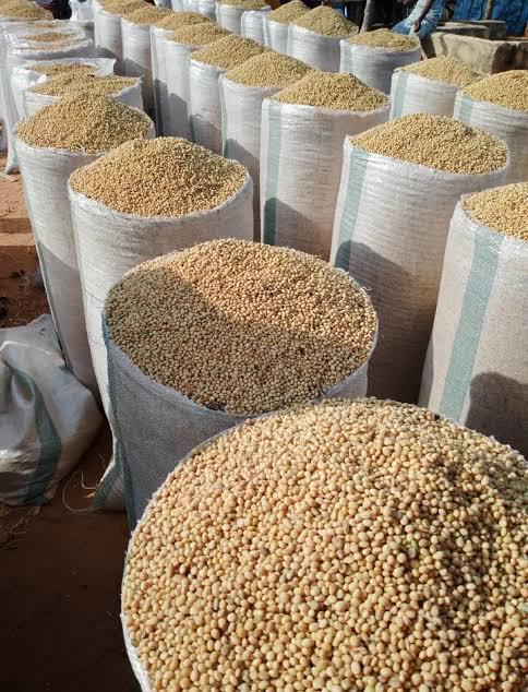 Premium Non-GMO Soybeans