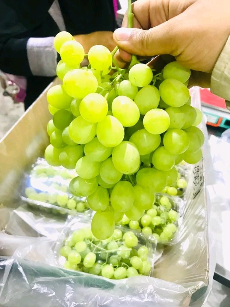 Superior Grapes