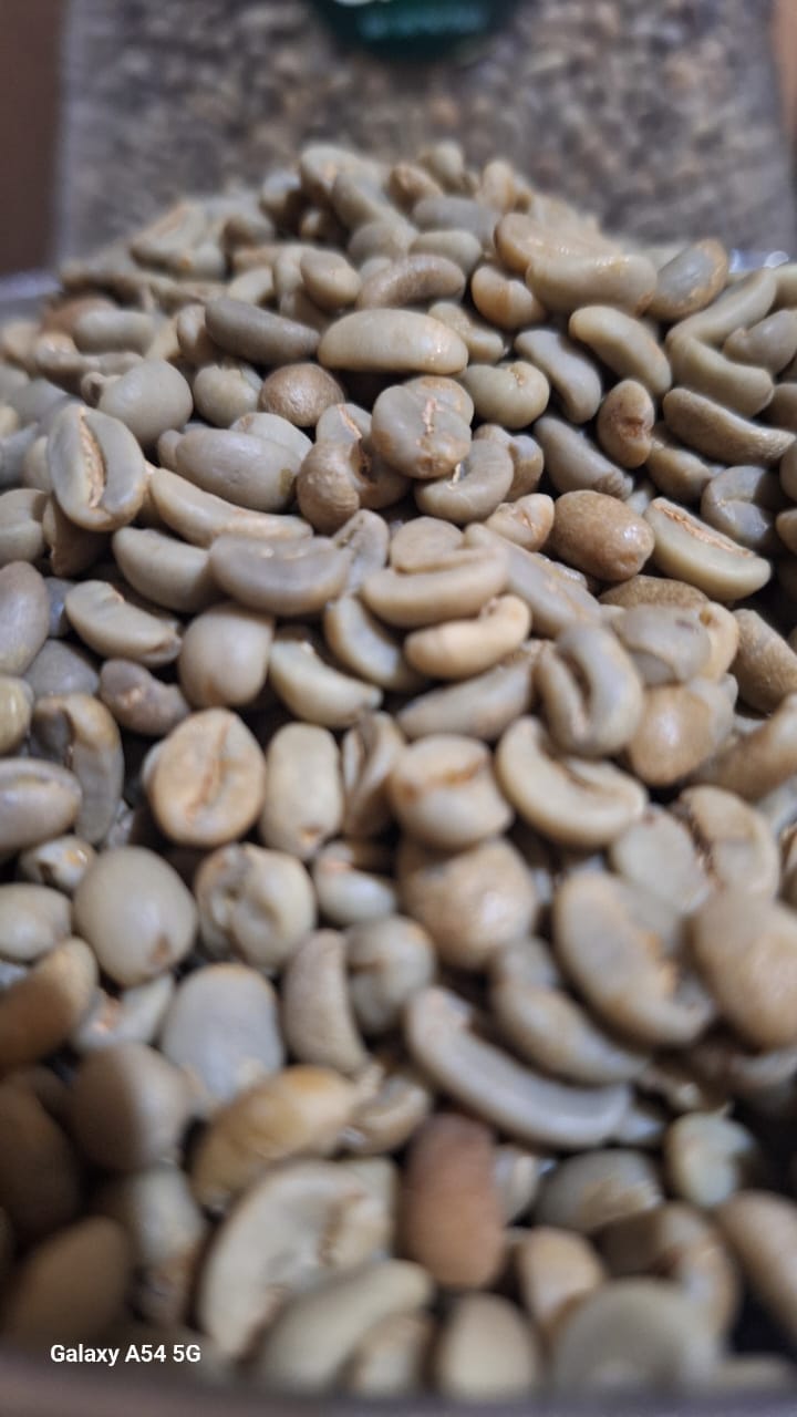 Grade 1 Gayo Arabica Natural