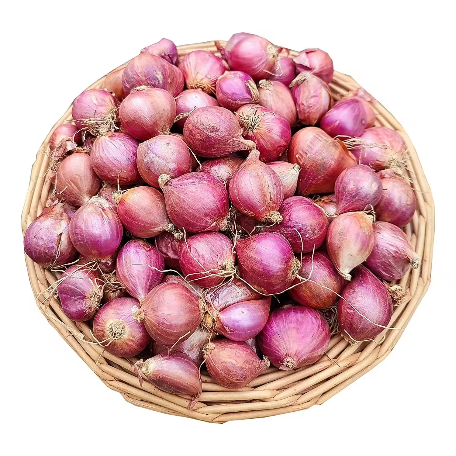 Fresh Shallots for Wholesale &amp;amp;amp; Food Processing Use
