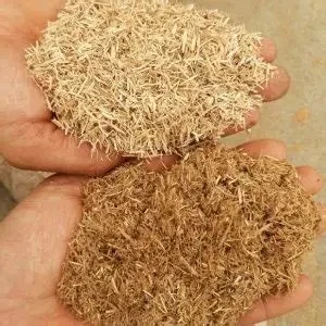 Export Quality Wood Chips