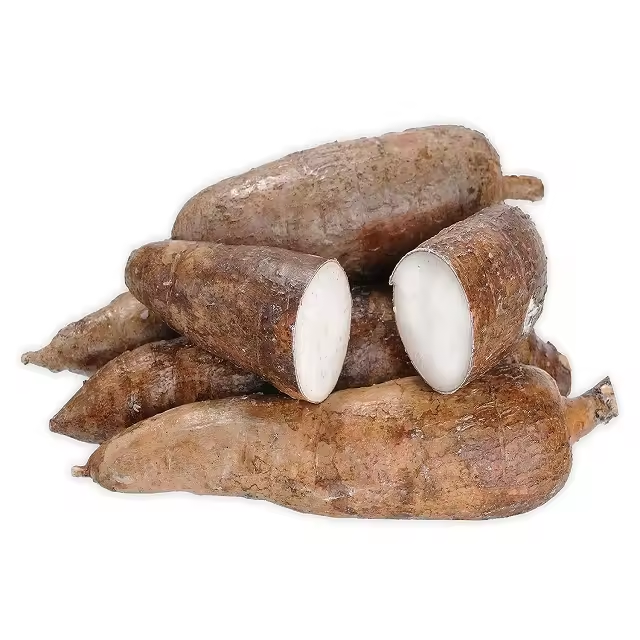 Fresh Cassava Root (Tapioca Root) for Wholesale &amp; Export Supply