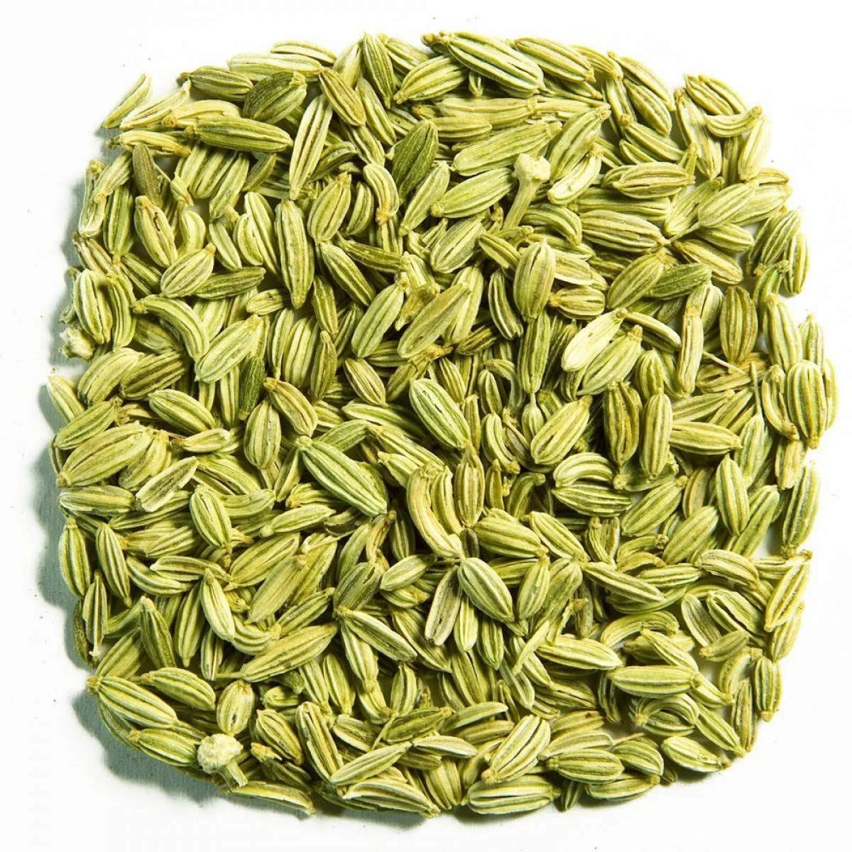 Fennel Seed Purity