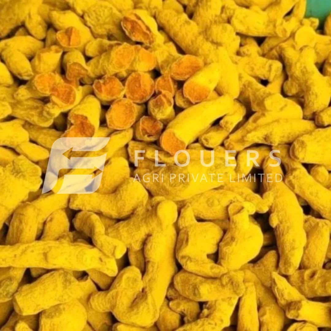 Turmeric Finger