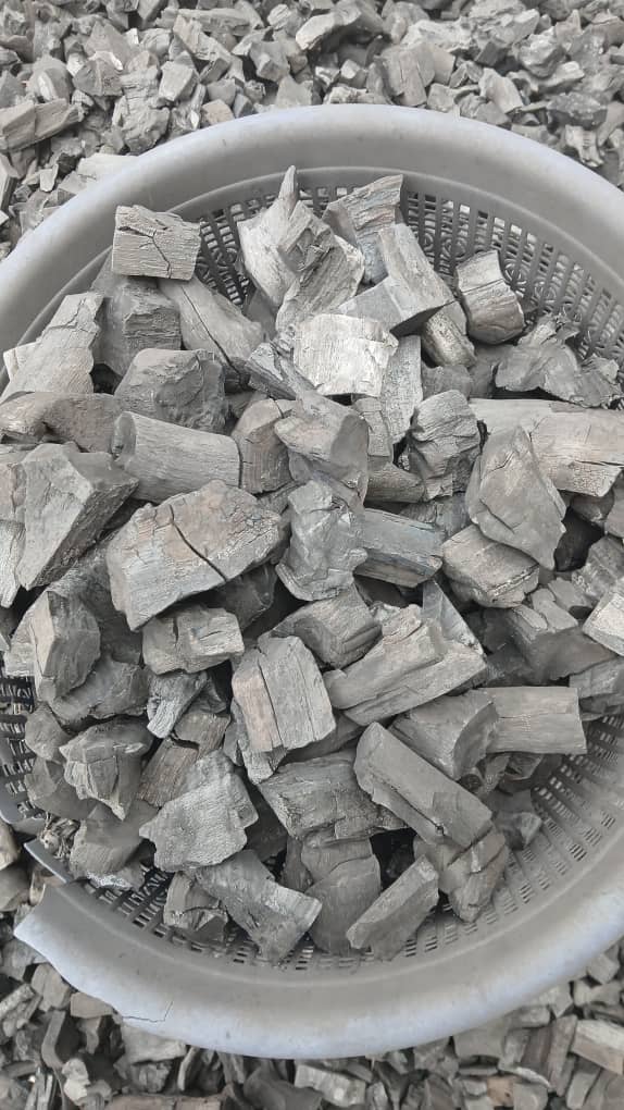 Superior Quality Hardwood Charcoal from Acacia &amp; Ayin – Fast Ignition and Long-Lasting Heat