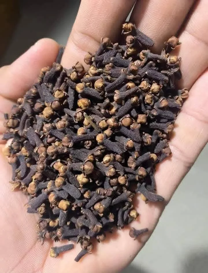 Premium Whole Cloves – Export Quality