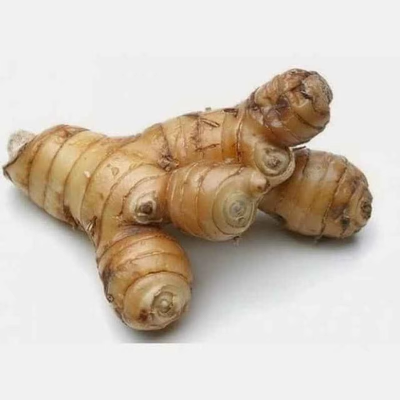 Fresh Galangal for Culinary &amp; Food Processing Use