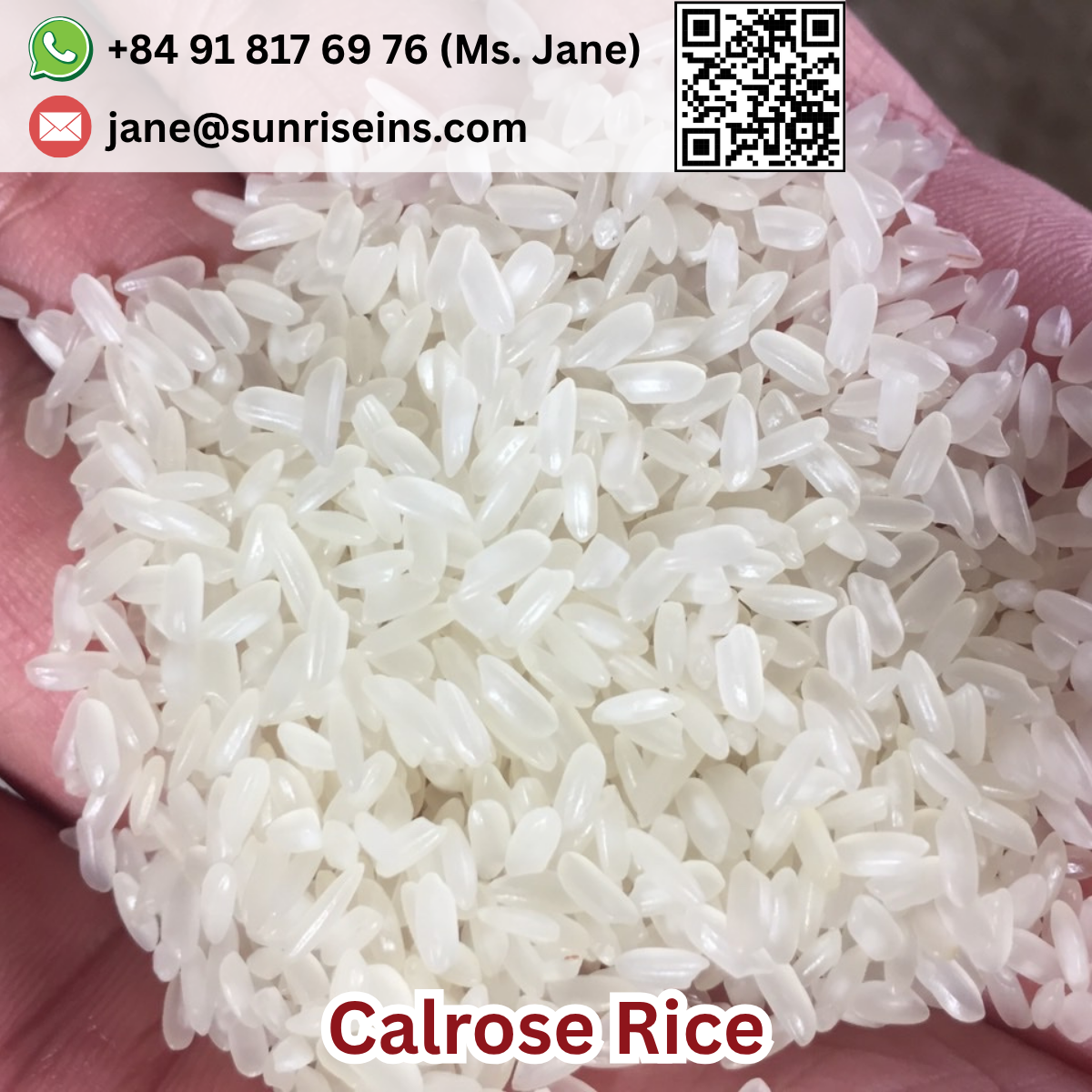 Calrose Rice 5% broken Medium Round Rice