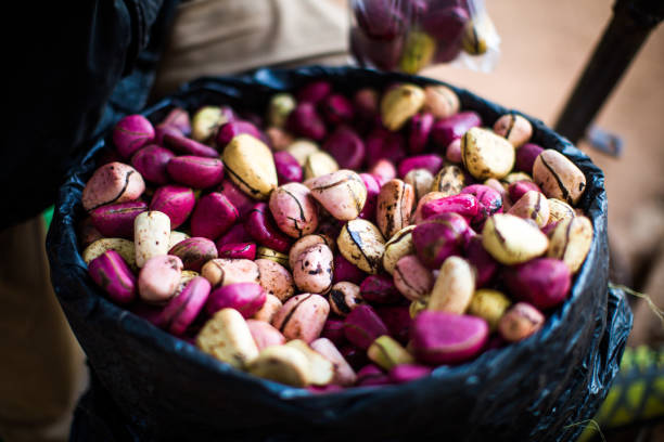 BITTER KOLA AND KOLA NUTS