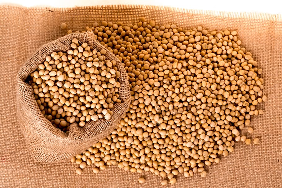 Soyabeans 