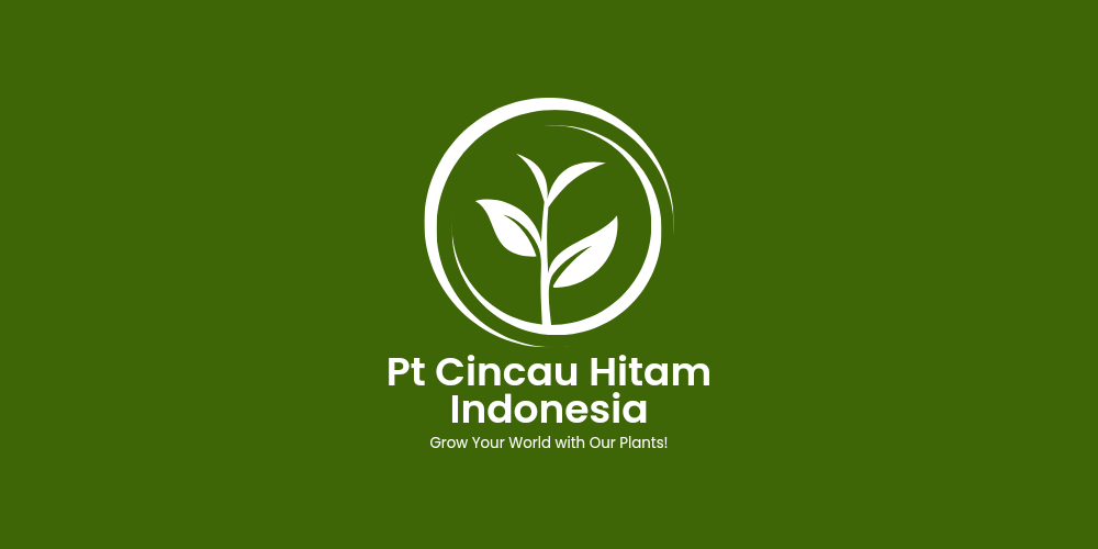  PT cincau hitam indonesia